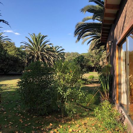 Cabanas En La Naturaleza A Pasos De La Playa La Serena Pokój zdjęcie